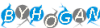 13128950153.png