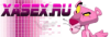 1xa.png