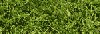 gazon.gif