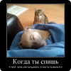 kogda_ty_spish.jpg
