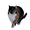 mg_0838.png