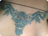 owl.jpg