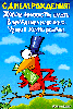 pic11104530.gif