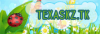 texas.png