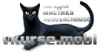 vkurse1.png