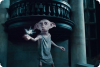 149234308530.jpg