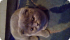 20160118_084200.jpg