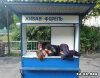 1195815331_02_pics_52016.jpg