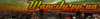 8city.gif