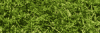 gazon.gif