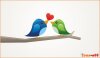 1345296387_birds_in_love.jpg