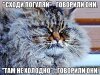 chx9d2zwp4s.jpg