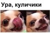 tplamrp6fsa.jpg