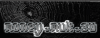 12826443615.gif